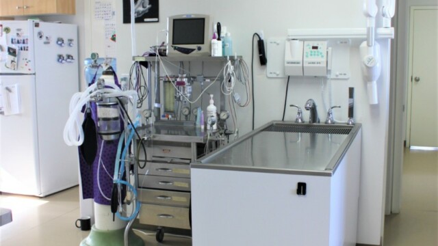 Surgery prep table at Animal Health Clinic of Humboldt