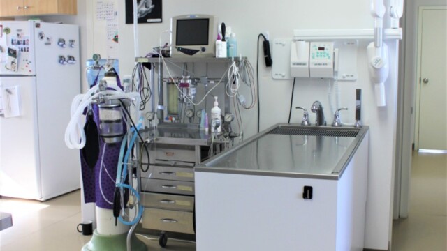 Surgery prep table at Animal Health Clinic of Humboldt