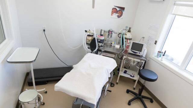 Surgery room at Animal Health Clinic of Humboldt