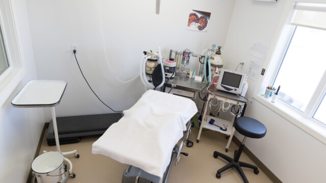 Surgery room at Animal Health Clinic of Humboldt