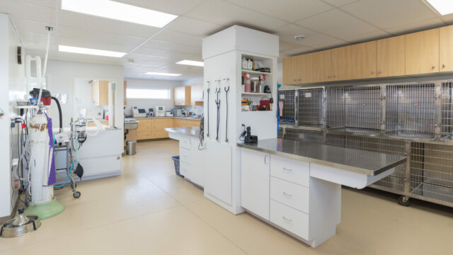 Treatment table and kennels at Animal Health Clinic of Humboldt